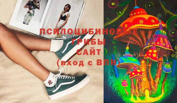 СК Абаза