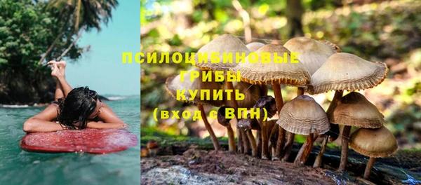 амф Абдулино