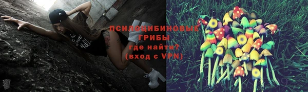 амф Абдулино
