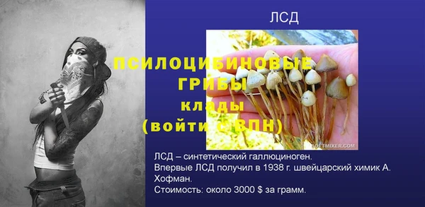 СК Абаза