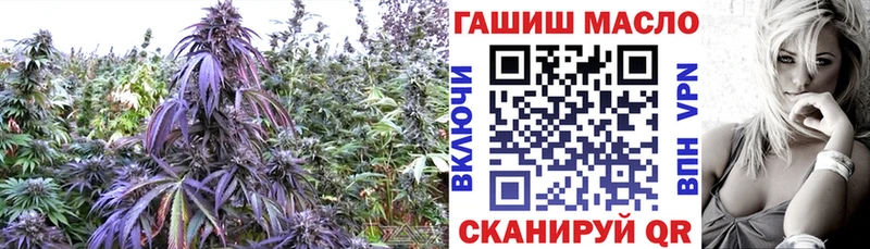 ТГК гашишное масло  это состав  Лесозаводск  закладка 